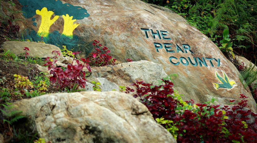Вилла The Pear County Кодайканал Экстерьер фото